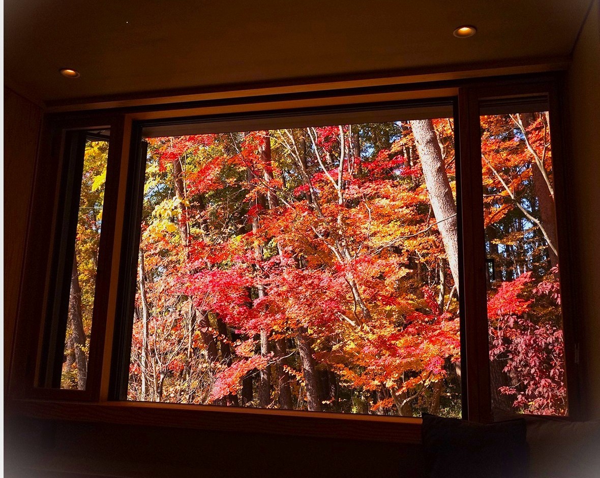 小淵沢の秋旅に｜山梨ワイン付き宿泊プラン（期間限定）