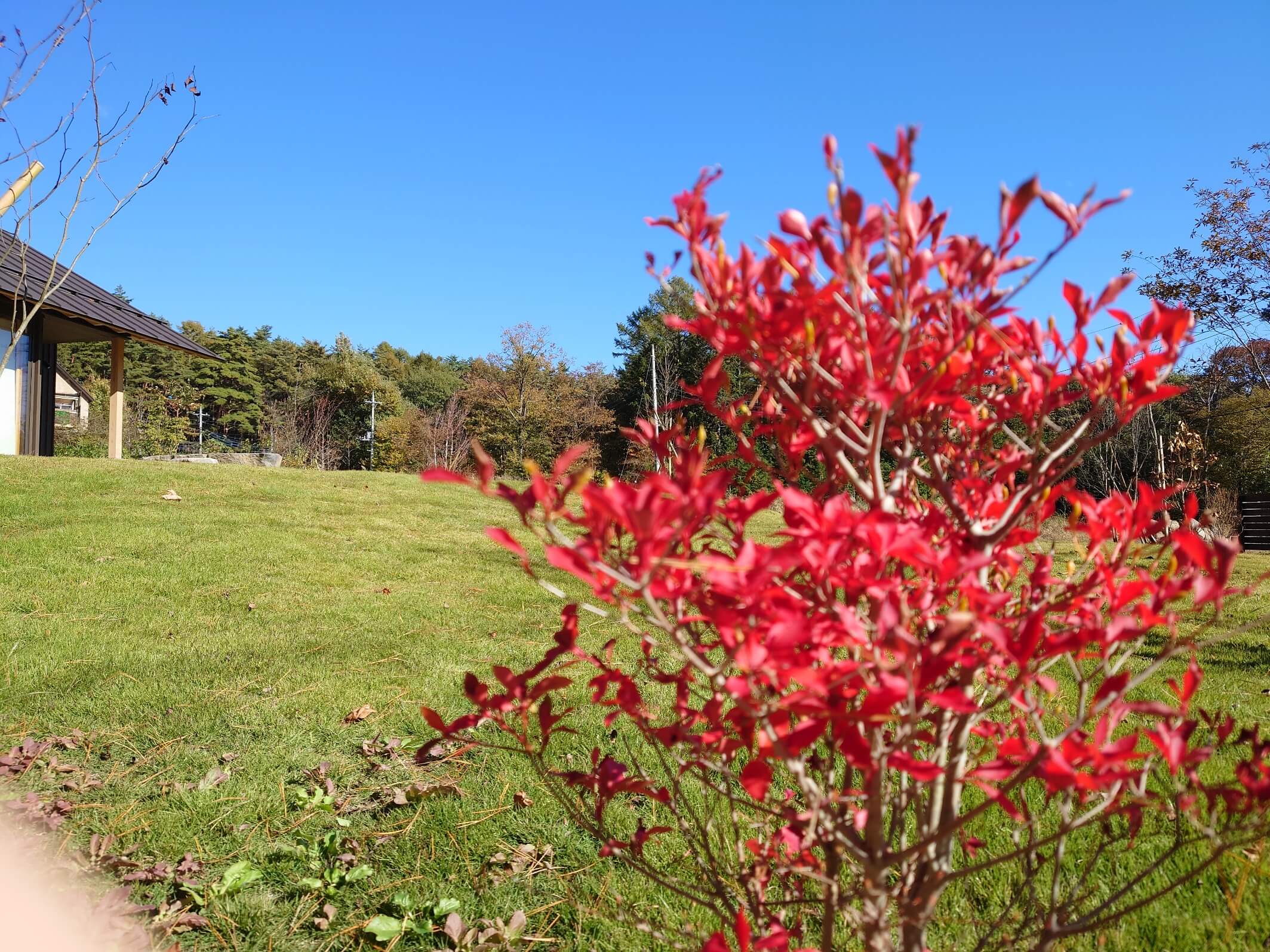 遅い紅葉も徐々に冬の訪れに